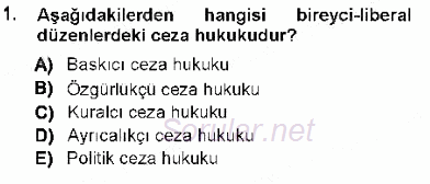Ceza Hukuku 2012 - 2013 Dönem Sonu Sınavı 1.Soru