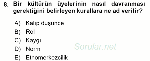 Küreselleşme ve Kültürlerarası İletişim 2017 - 2018 3 Ders Sınavı 8.Soru