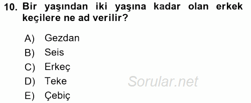 Hayvan Yetiştirme 2016 - 2017 Dönem Sonu Sınavı 10.Soru