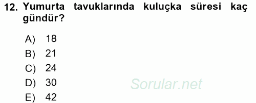 Hayvan Yetiştirme 2016 - 2017 Dönem Sonu Sınavı 12.Soru