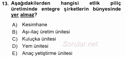 Hayvan Yetiştirme 2016 - 2017 Dönem Sonu Sınavı 13.Soru