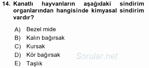 Hayvan Yetiştirme 2016 - 2017 Dönem Sonu Sınavı 14.Soru