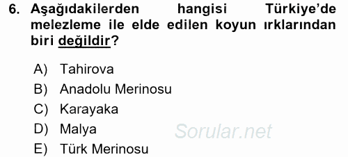 Hayvan Yetiştirme 2016 - 2017 Dönem Sonu Sınavı 6.Soru