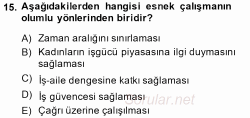 Yeni Teknolojiler ve Çalışma Hayatı 2013 - 2014 Dönem Sonu Sınavı 15.Soru