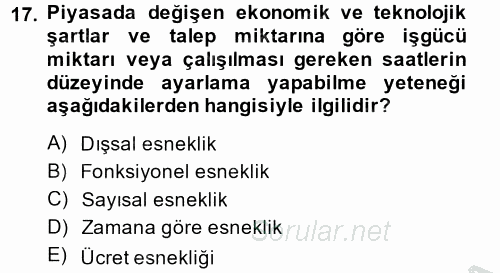 Yeni Teknolojiler ve Çalışma Hayatı 2013 - 2014 Dönem Sonu Sınavı 17.Soru