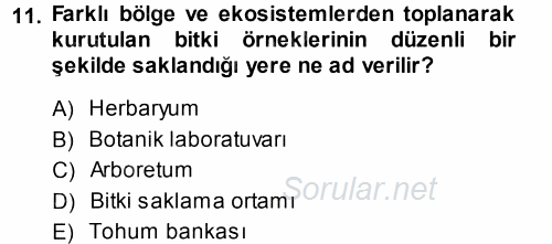 Ekoloji ve Turizm 2013 - 2014 Dönem Sonu Sınavı 11.Soru