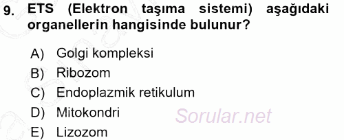 Genel Biyoloji 1 2015 - 2016 Ara Sınavı 9.Soru
