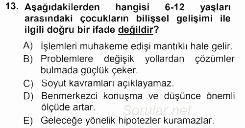 Özel Gereksinimli Bireyler ve Bakım Hizmetleri 2013 - 2014 Tek Ders Sınavı 13.Soru