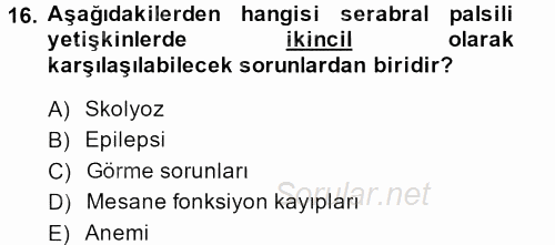 Özel Gereksinimli Bireyler ve Bakım Hizmetleri 2013 - 2014 Tek Ders Sınavı 16.Soru