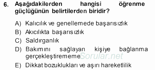Özel Gereksinimli Bireyler ve Bakım Hizmetleri 2013 - 2014 Tek Ders Sınavı 6.Soru