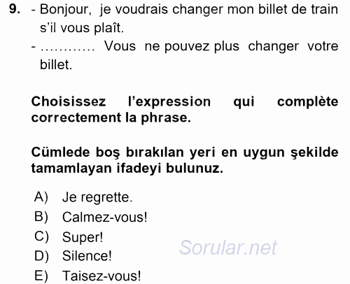 Fransızca 1 2015 - 2016 Tek Ders Sınavı 9.Soru
