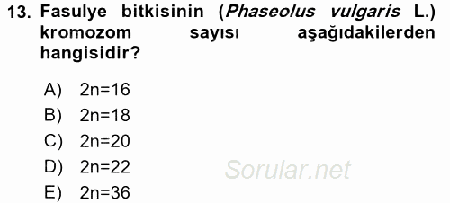Tarla Bitkileri 1 2016 - 2017 Dönem Sonu Sınavı 13.Soru