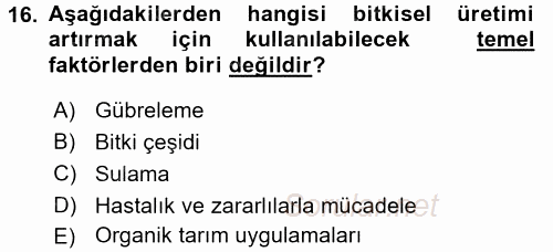 Tarla Bitkileri 1 2016 - 2017 Dönem Sonu Sınavı 16.Soru