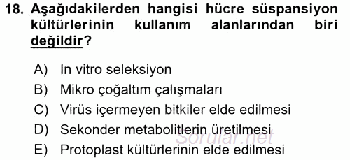 Tarla Bitkileri 1 2016 - 2017 Dönem Sonu Sınavı 18.Soru