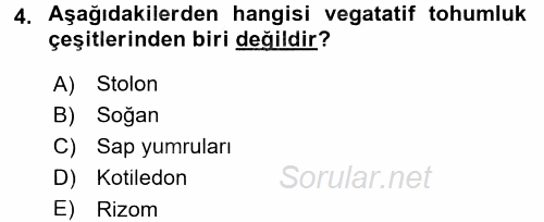 Tarla Bitkileri 1 2016 - 2017 Dönem Sonu Sınavı 4.Soru