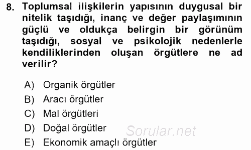 Sosyal Hizmet Yönetimi 2015 - 2016 Ara Sınavı 8.Soru