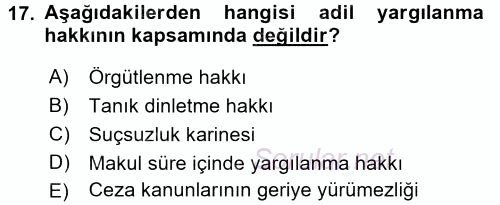 İnsan Hakları Ve Kamu Özgürlükleri 2017 - 2018 Dönem Sonu Sınavı 17.Soru