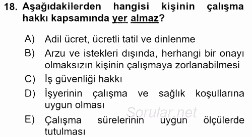 İnsan Hakları Ve Kamu Özgürlükleri 2017 - 2018 Dönem Sonu Sınavı 18.Soru