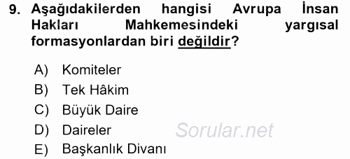 İnsan Hakları Ve Kamu Özgürlükleri 2017 - 2018 Dönem Sonu Sınavı 9.Soru