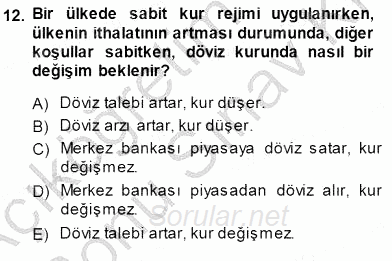 Finansal Ekonomi 2013 - 2014 Dönem Sonu Sınavı 12.Soru