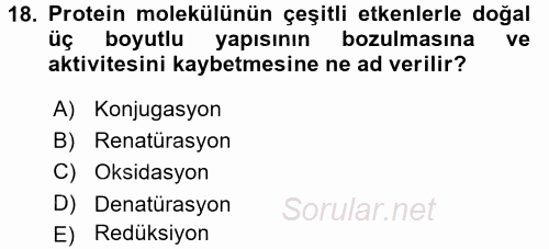 Temel Veteriner Biyokimya 2015 - 2016 Ara Sınavı 18.Soru