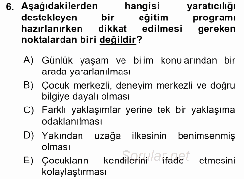 Çocukta Sanat Eğitimi Ve Yaratıcılık 2017 - 2018 Dönem Sonu Sınavı 6.Soru