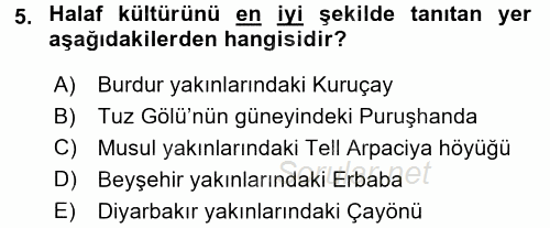 Eski Mezopotamya ve Mısır Tarihi 2015 - 2016 Ara Sınavı 5.Soru
