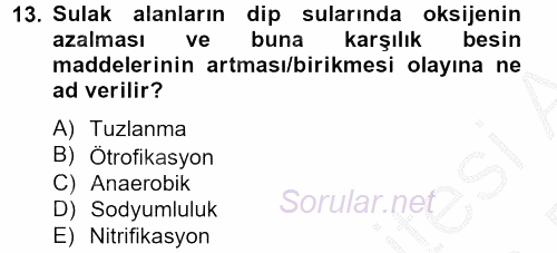 Peyzaj Çevre ve Tarım 2012 - 2013 Dönem Sonu Sınavı 13.Soru