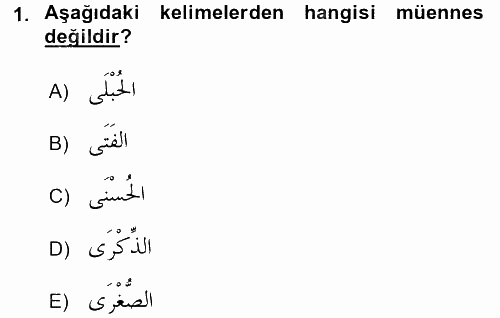 Arapça 1 2015 - 2016 Tek Ders Sınavı 1.Soru