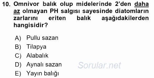 Balık Yetiştiriciliği 2015 - 2016 Ara Sınavı 10.Soru