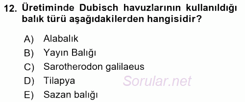 Balık Yetiştiriciliği 2015 - 2016 Ara Sınavı 12.Soru