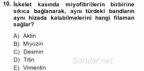 Temel Veteriner Histoloji ve Embriyoloji 2014 - 2015 Dönem Sonu Sınavı 10.Soru