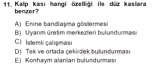 Temel Veteriner Histoloji ve Embriyoloji 2014 - 2015 Dönem Sonu Sınavı 11.Soru