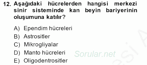 Temel Veteriner Histoloji ve Embriyoloji 2014 - 2015 Dönem Sonu Sınavı 12.Soru