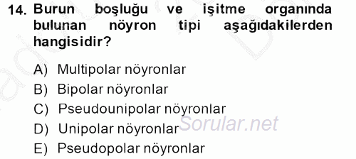 Temel Veteriner Histoloji ve Embriyoloji 2014 - 2015 Dönem Sonu Sınavı 14.Soru