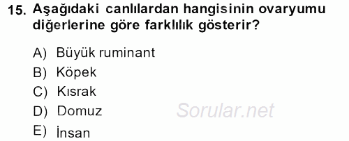 Temel Veteriner Histoloji ve Embriyoloji 2014 - 2015 Dönem Sonu Sınavı 15.Soru