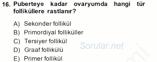 Temel Veteriner Histoloji ve Embriyoloji 2014 - 2015 Dönem Sonu Sınavı 16.Soru