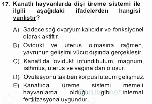 Temel Veteriner Histoloji ve Embriyoloji 2014 - 2015 Dönem Sonu Sınavı 17.Soru