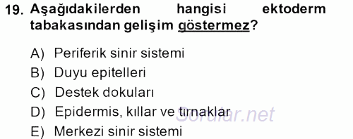 Temel Veteriner Histoloji ve Embriyoloji 2014 - 2015 Dönem Sonu Sınavı 19.Soru