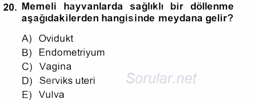 Temel Veteriner Histoloji ve Embriyoloji 2014 - 2015 Dönem Sonu Sınavı 20.Soru