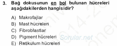Temel Veteriner Histoloji ve Embriyoloji 2014 - 2015 Dönem Sonu Sınavı 3.Soru