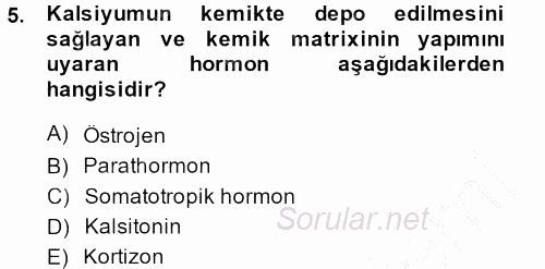 Temel Veteriner Histoloji ve Embriyoloji 2014 - 2015 Dönem Sonu Sınavı 5.Soru