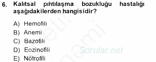Temel Veteriner Histoloji ve Embriyoloji 2014 - 2015 Dönem Sonu Sınavı 6.Soru