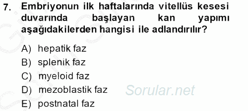 Temel Veteriner Histoloji ve Embriyoloji 2014 - 2015 Dönem Sonu Sınavı 7.Soru