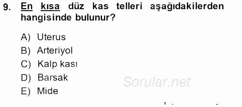 Temel Veteriner Histoloji ve Embriyoloji 2014 - 2015 Dönem Sonu Sınavı 9.Soru