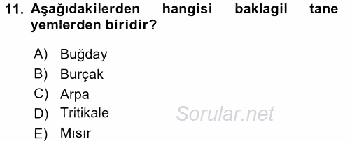 Temel Yem Bilgisi ve Hayvan Besleme 2016 - 2017 Ara Sınavı 11.Soru