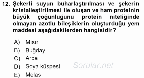 Temel Yem Bilgisi ve Hayvan Besleme 2016 - 2017 Ara Sınavı 12.Soru