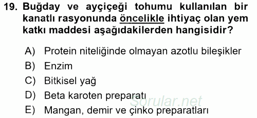 Temel Yem Bilgisi ve Hayvan Besleme 2016 - 2017 Ara Sınavı 19.Soru