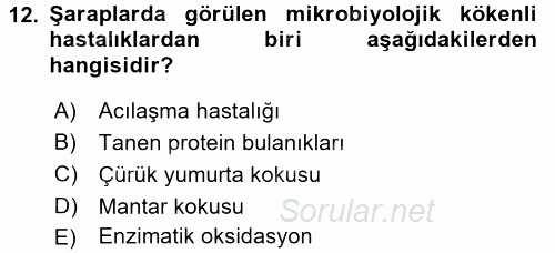 İçecek Bilgisi 2016 - 2017 Dönem Sonu Sınavı 12.Soru