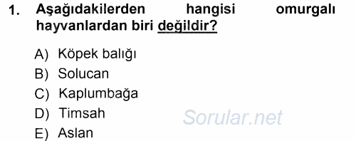 Okulöncesinde Fen Eğitimi 2014 - 2015 Tek Ders Sınavı 1.Soru